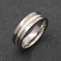 Titanium Ring - Silver Merikare